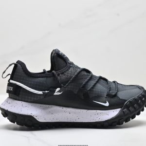 NIKE ACG Mountain Fly Low GTX